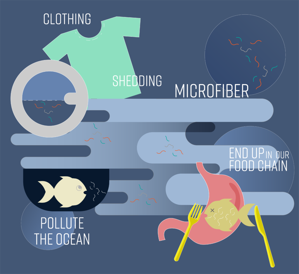 An infographic showing how microfiber pollution from clothing pollute the ocean and end up in our food chain, Impact of Microfibers on the Environment